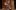 asyoulikeit-2018-whatson-standardimage-10