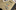 blog2-aspect-ratio-640-400