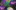 An image of a website which is purple and green with forest illustrations